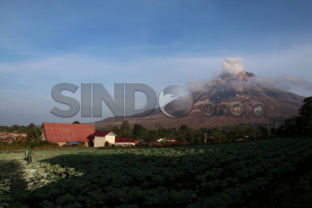 Petani Tetap Meladang...