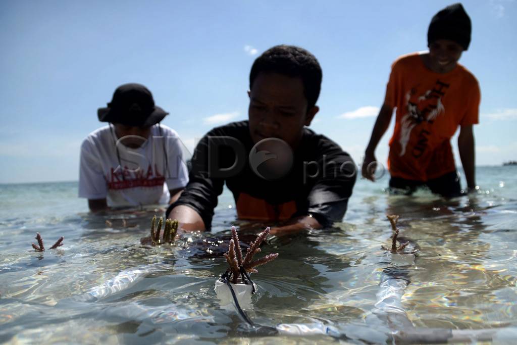 Transplantasi Karang...