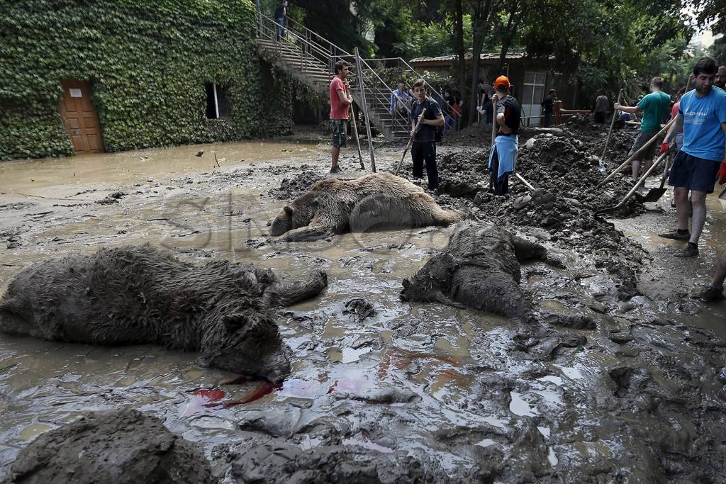 Banjir Georgia, Petugas...