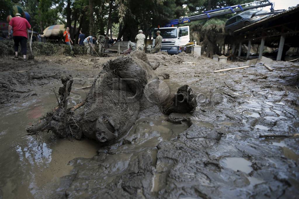 Banjir Georgia, Petugas...
