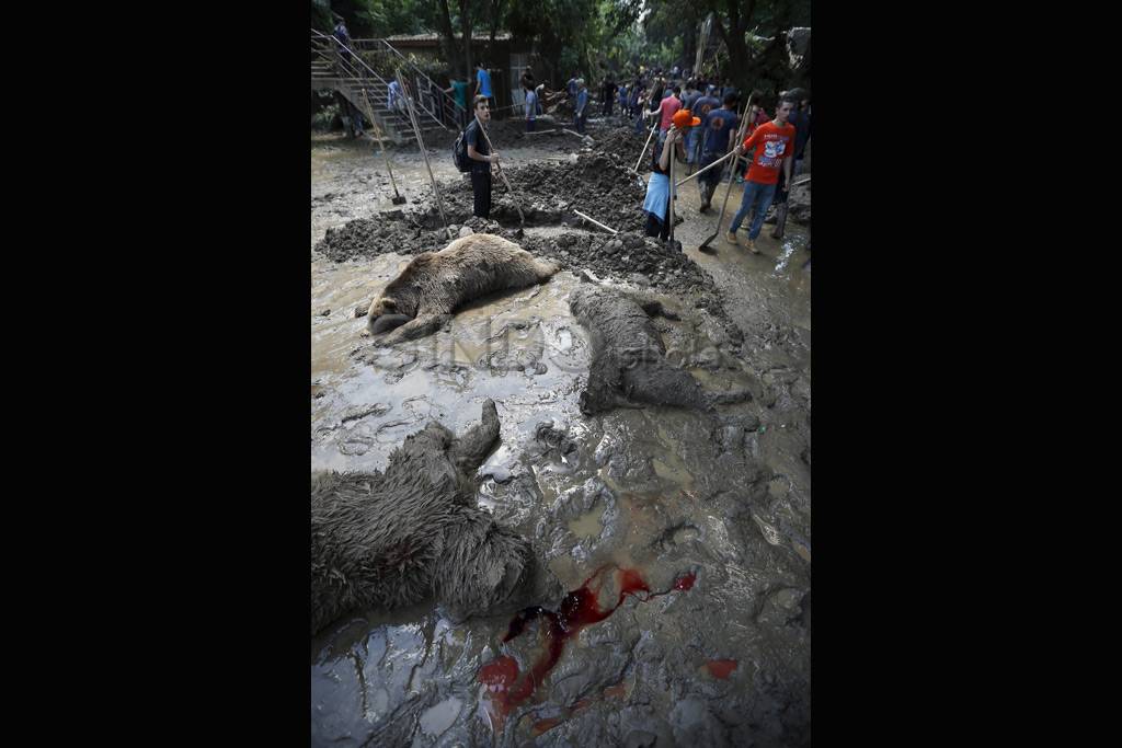 Banjir Georgia, Petugas...