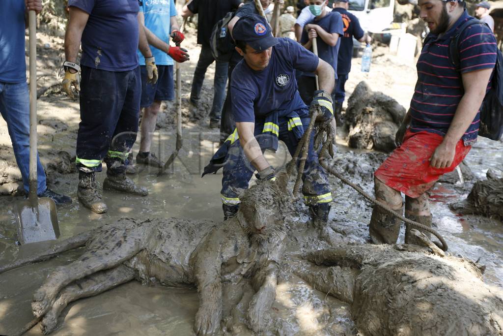 Banjir Georgia, Petugas...