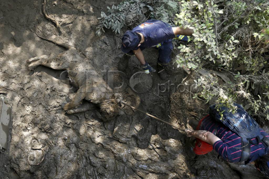 Banjir Georgia, Petugas...