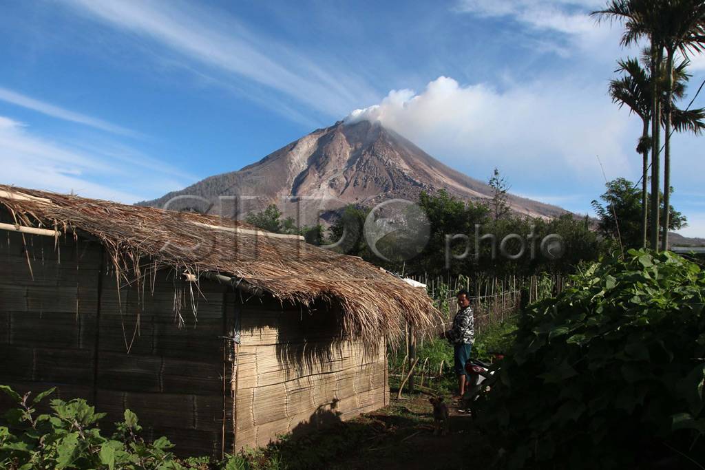 Aktivitas Sinabung Masih...
