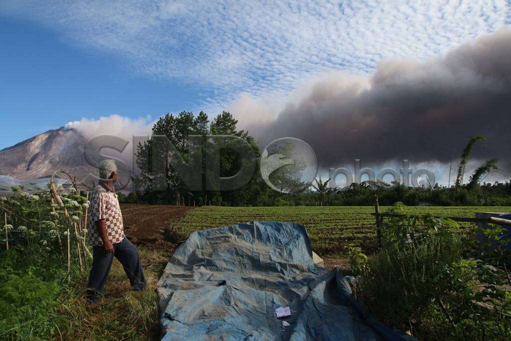 Sinabung Terus Keluarkan...