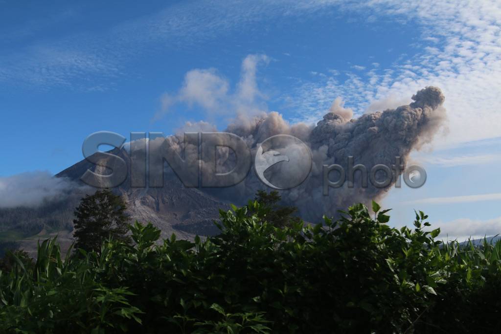 Sinabung Terus Keluarkan...