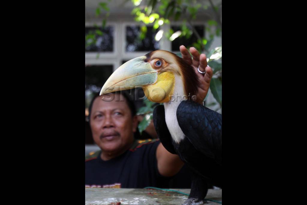 Balai Besar Taman Nasional...