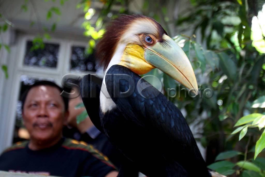 Balai Besar Taman Nasional...