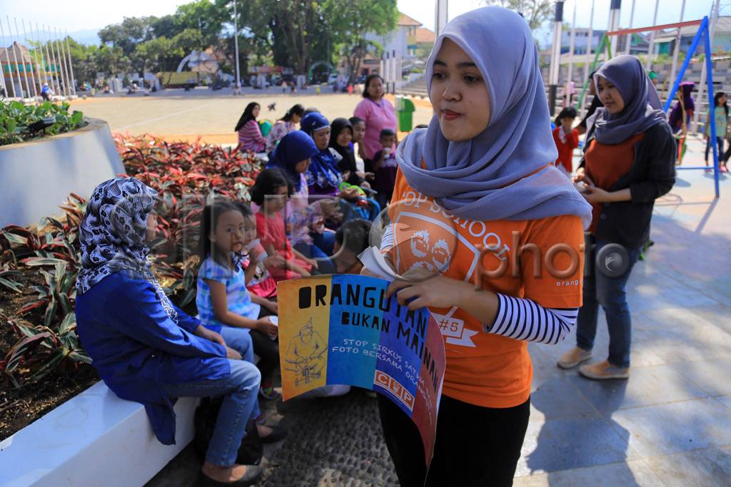 Orangutan Bukan Mainan
