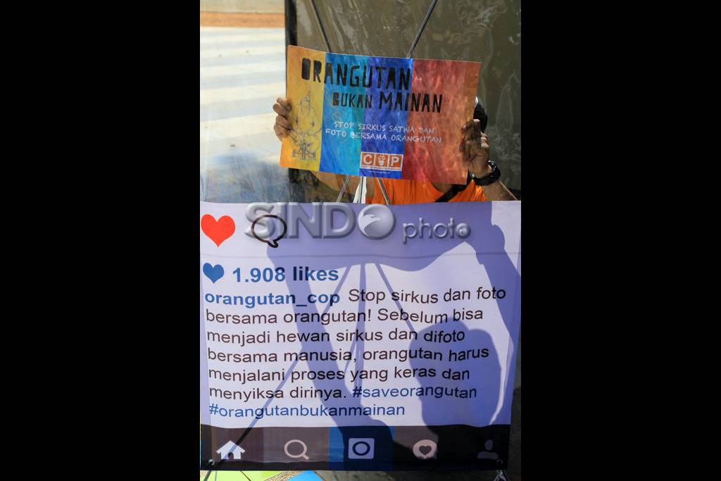 Orangutan Bukan Mainan