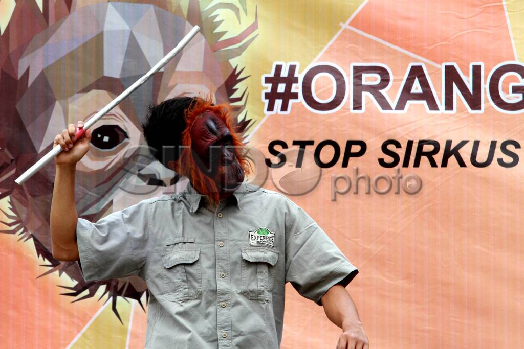 Stop Eksploitasi Orangutan