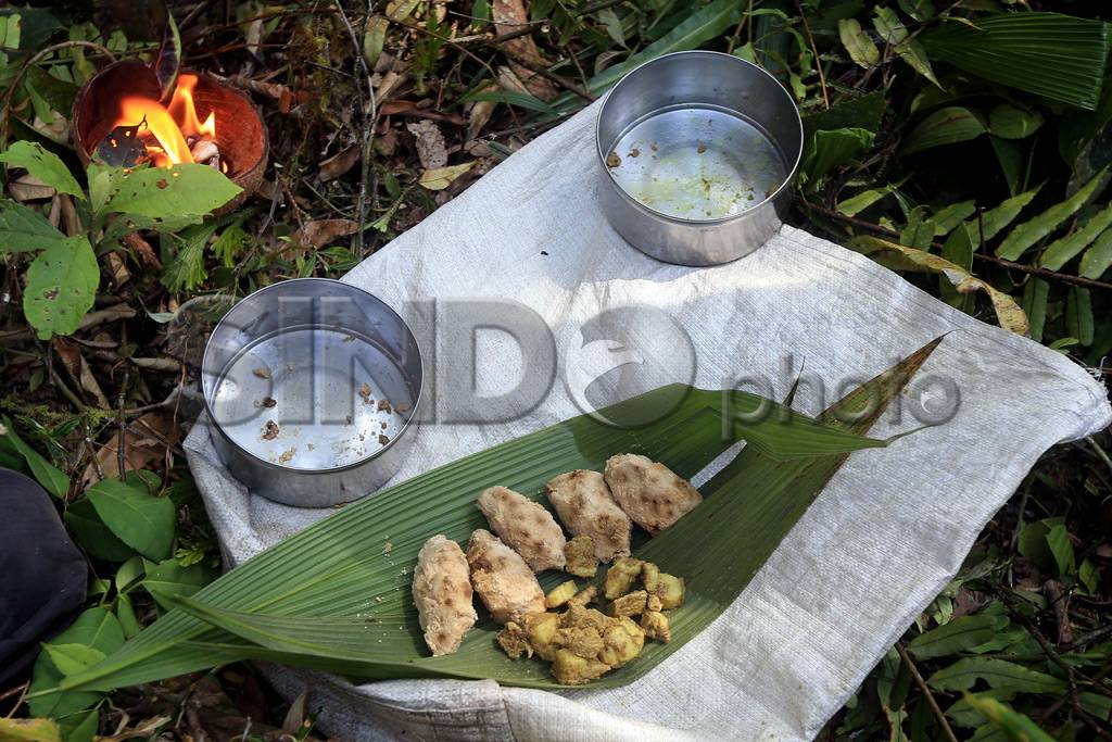 Hutan Kemenyan Batak...