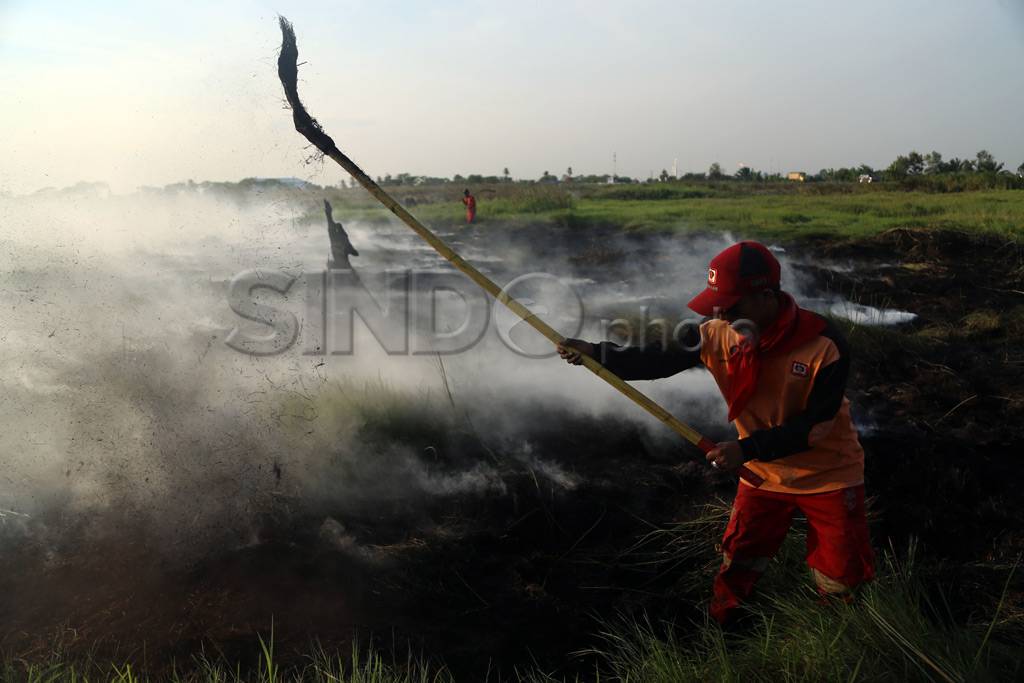 Kebakaran Lahan Gambut...