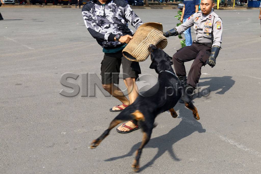 Polri Gelar Simulasi...