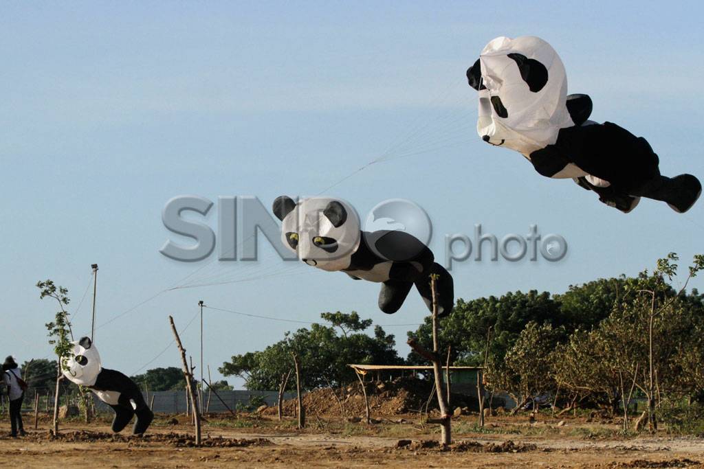 Festival Layang-Layang...