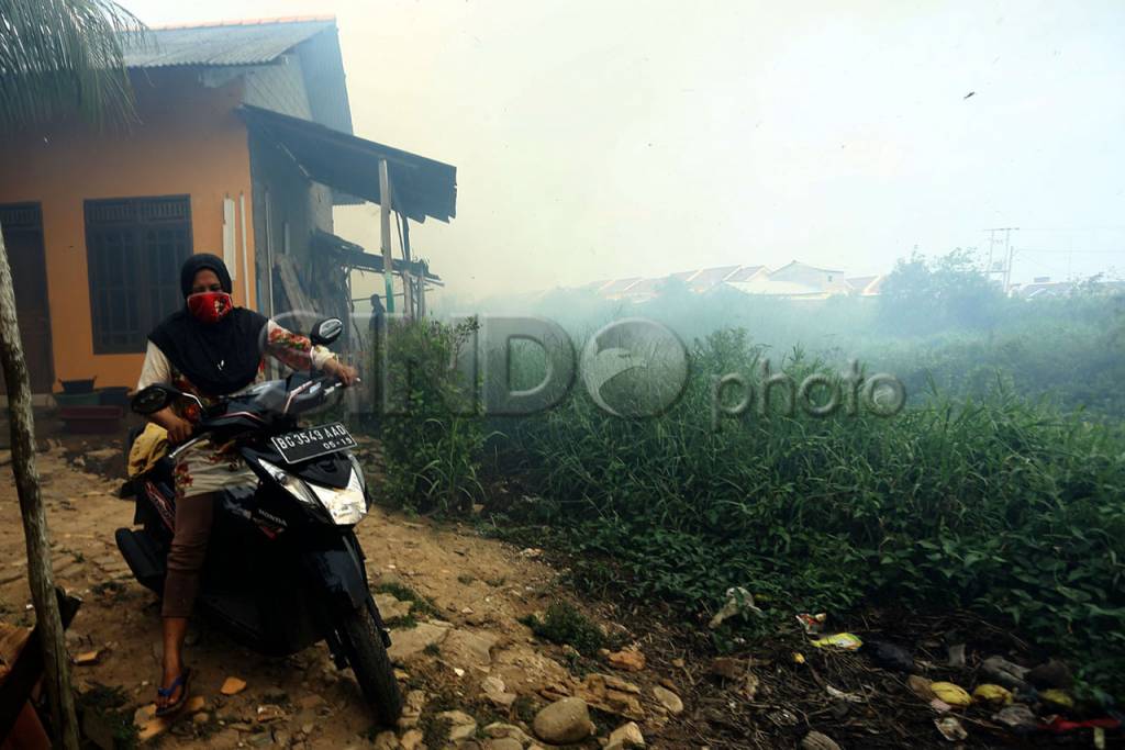 Kebakaran Lahan Ancam...