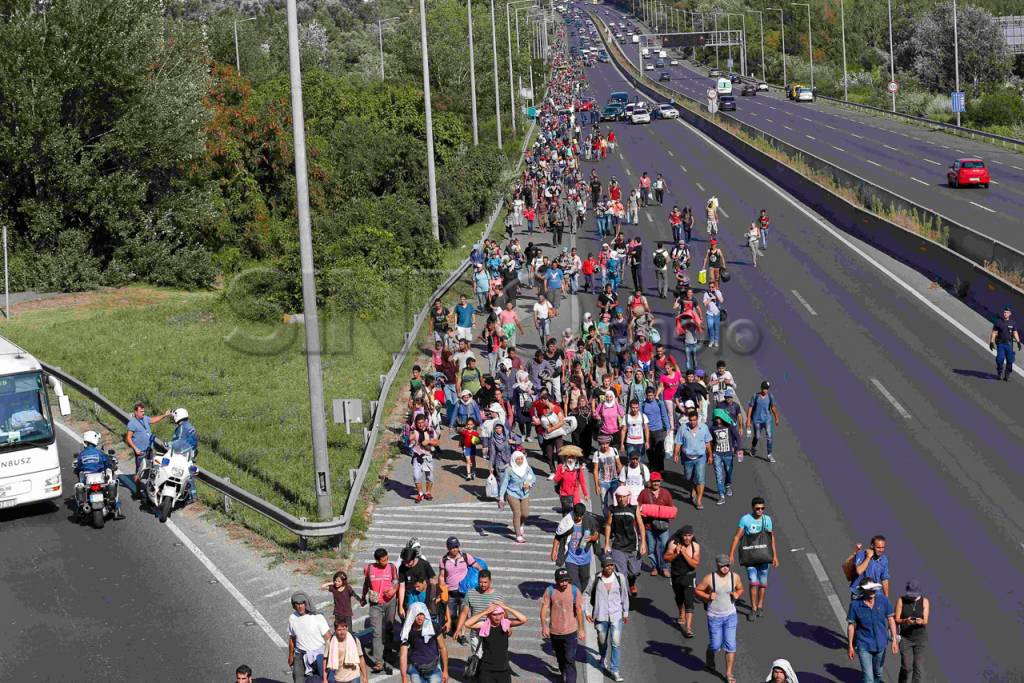Migran Horor Menakutkan...