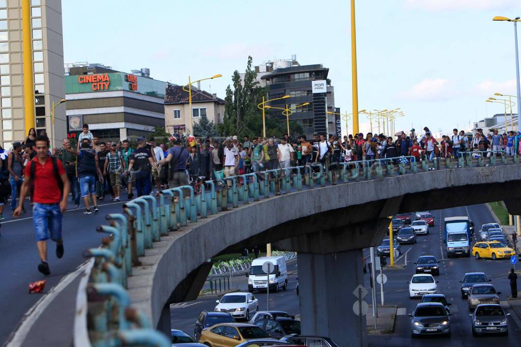 Migran Horor Menakutkan...