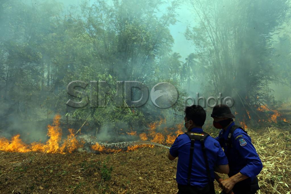 Kebakaran Lahan Landa...