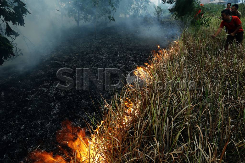 Kebakaran Lahan Mendekati...