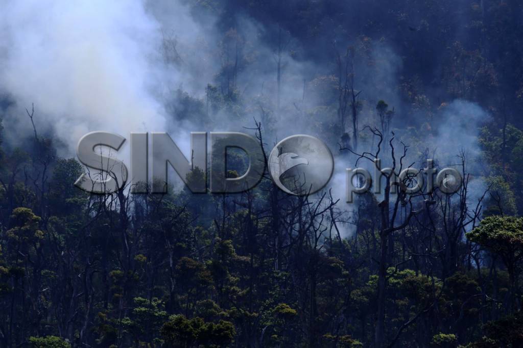 Kebakaran Gunung Papandayan...