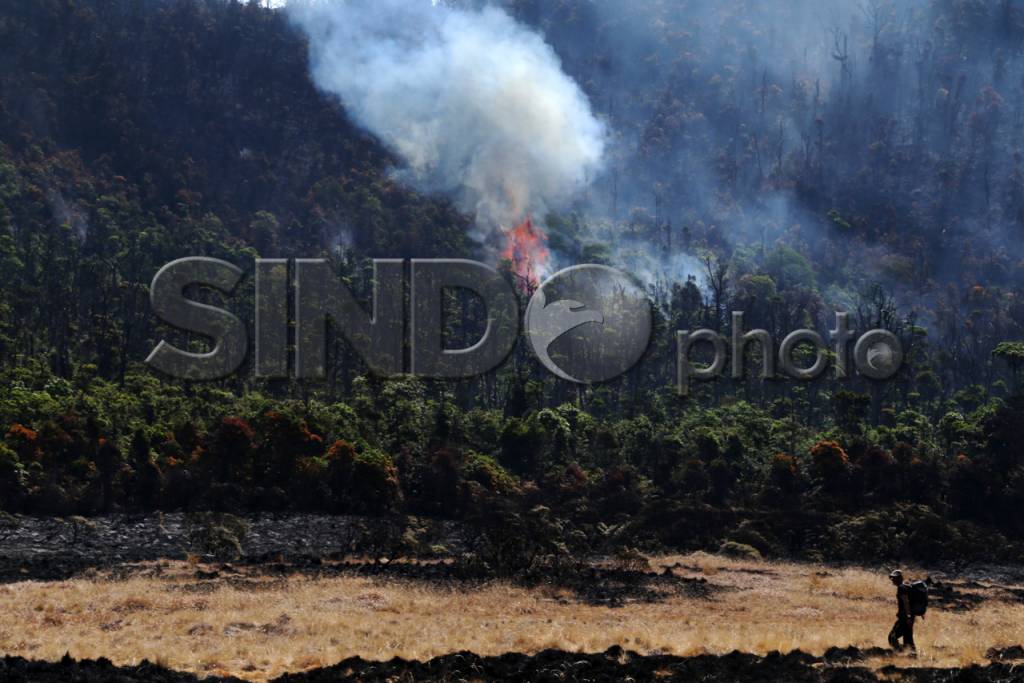 Kebakaran Gunung Papandayan...