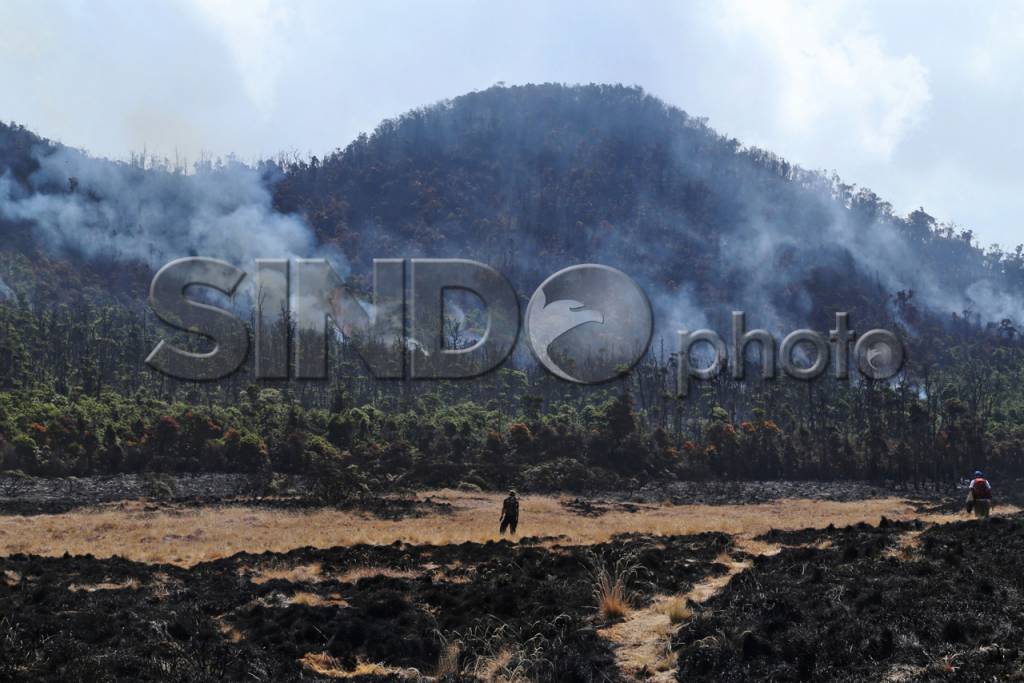 Kebakaran Gunung Papandayan...