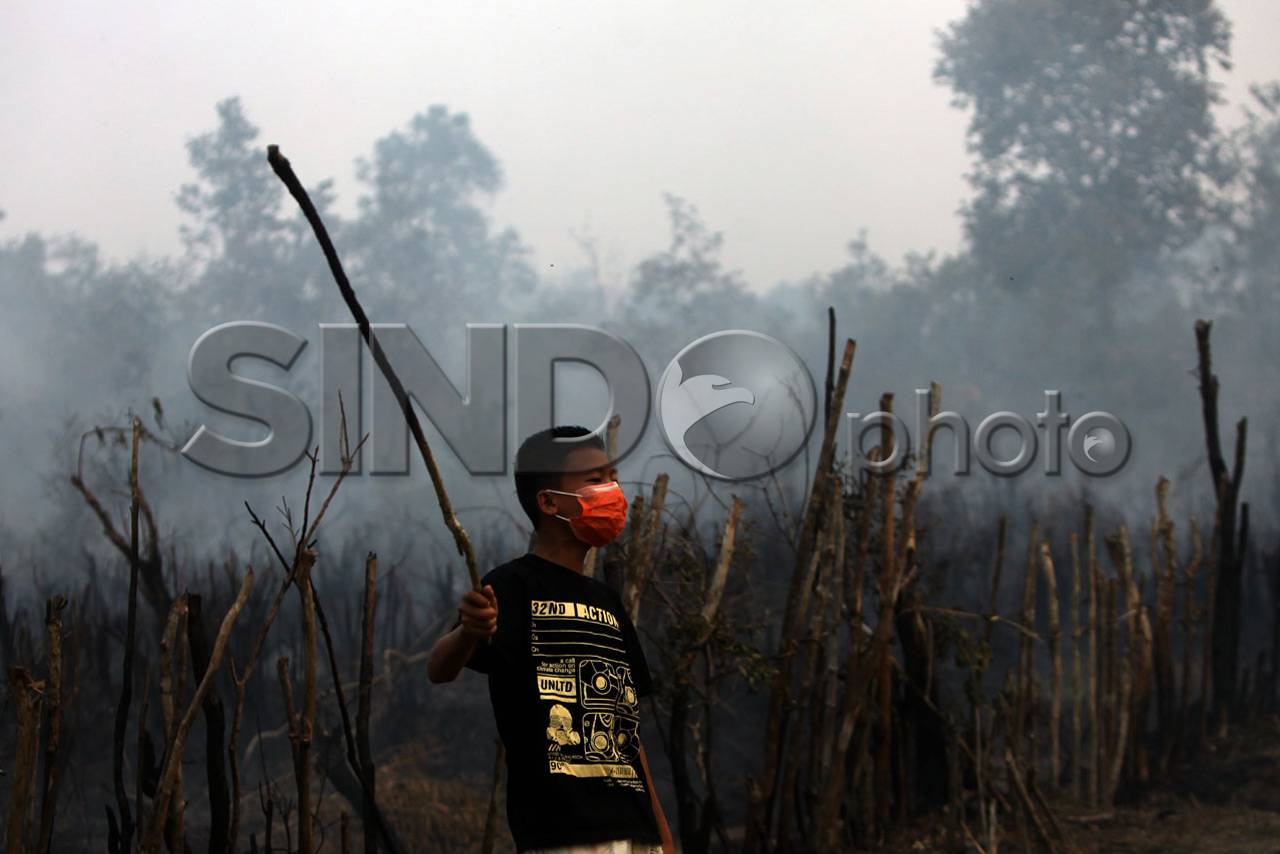 Kebakaran Lahan Semakin...