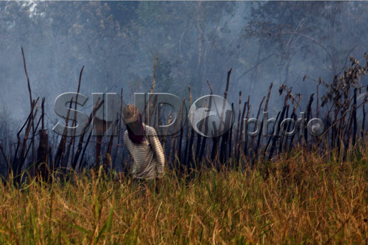 Kebakaran Lahan Semakin...