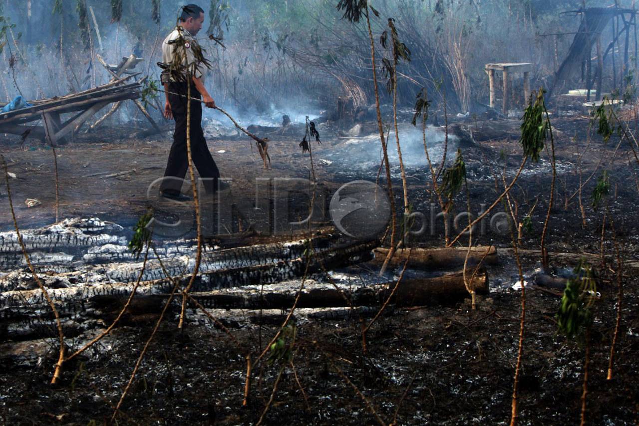 Polisi Lakukan Penyelidikan...