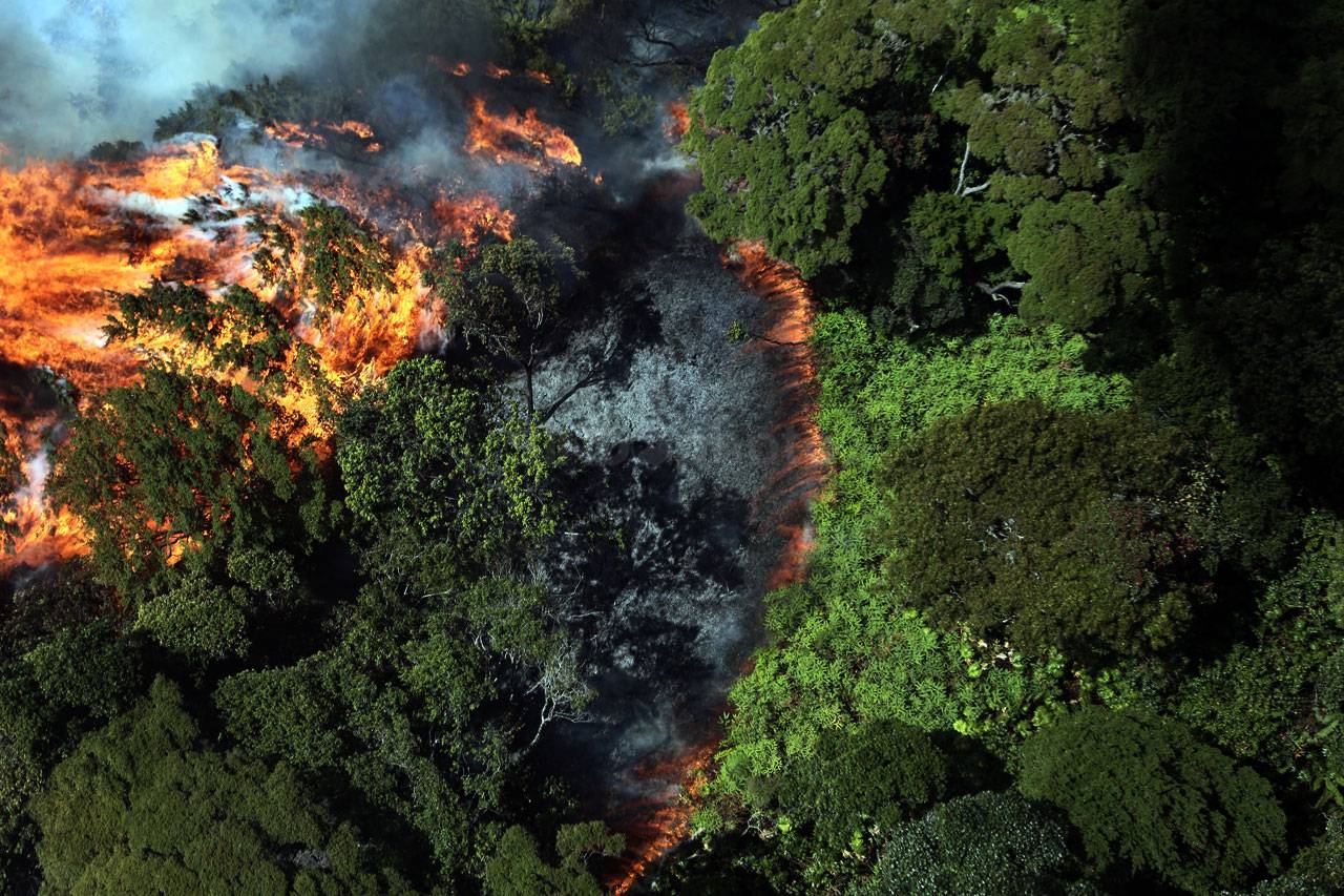 Hutan Gunung Dempo Terbakar