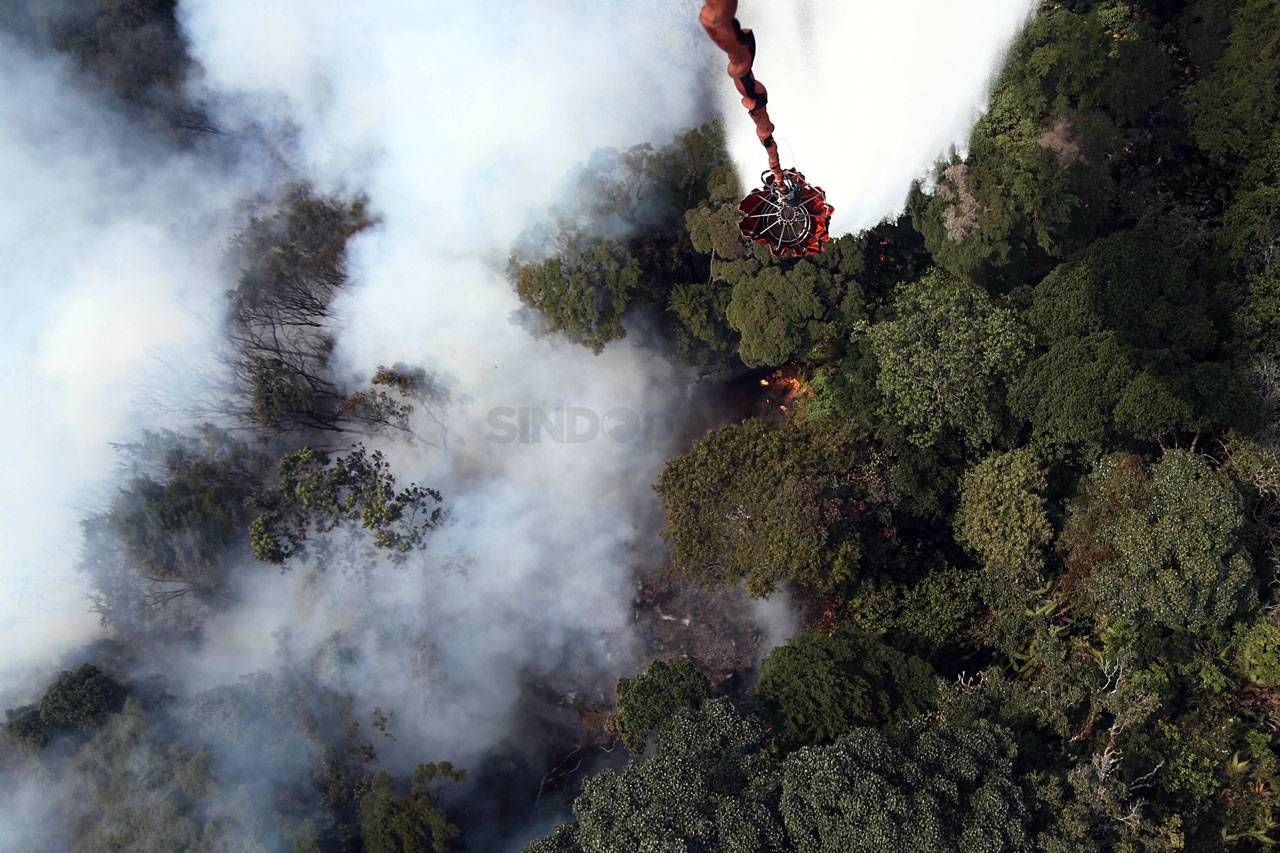 Hutan Gunung Dempo Terbakar