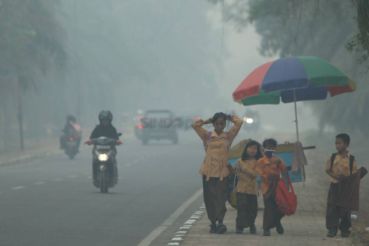 Asap Tebal Terus Menyelimuti...