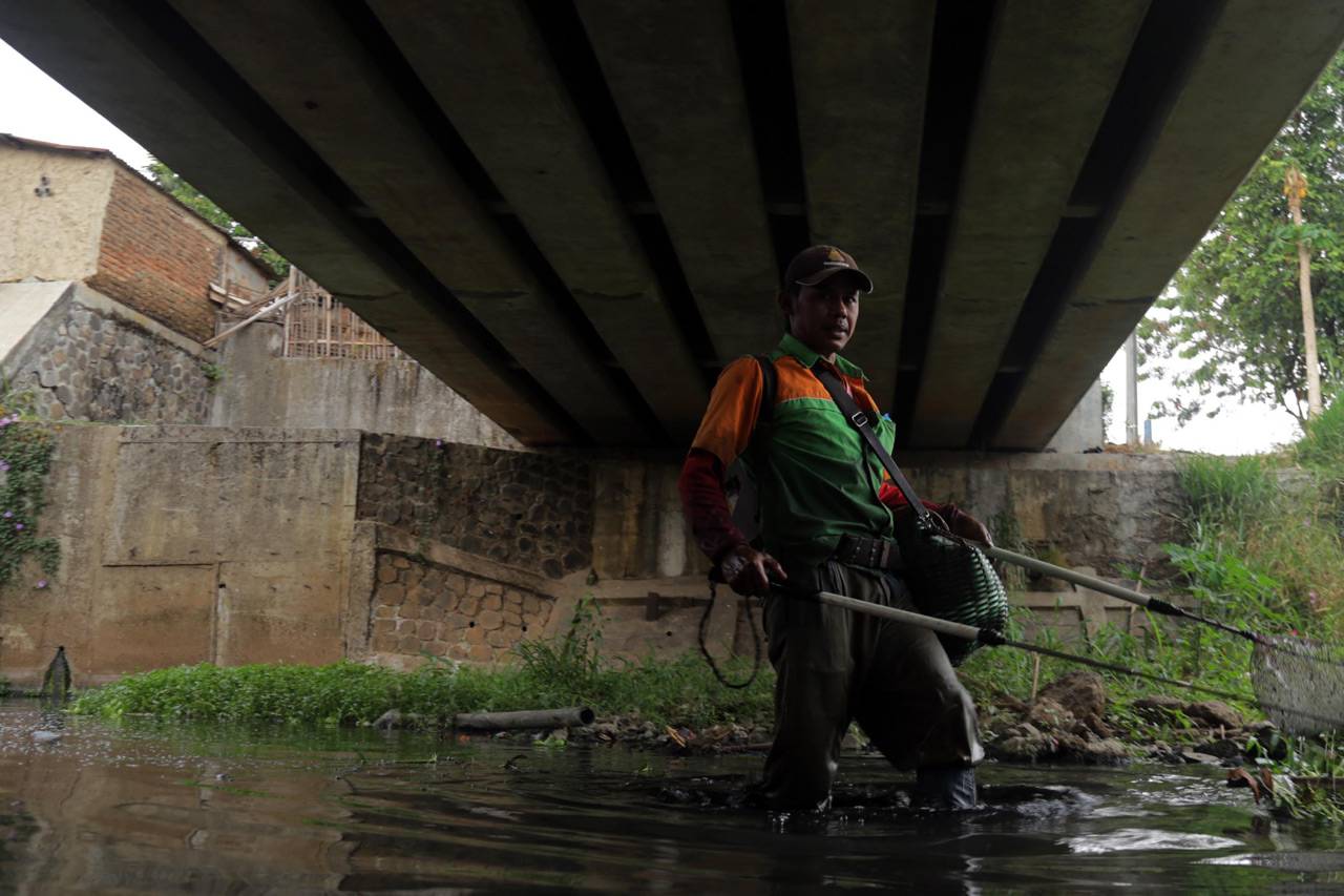 Mencari Ikan di Sungai...
