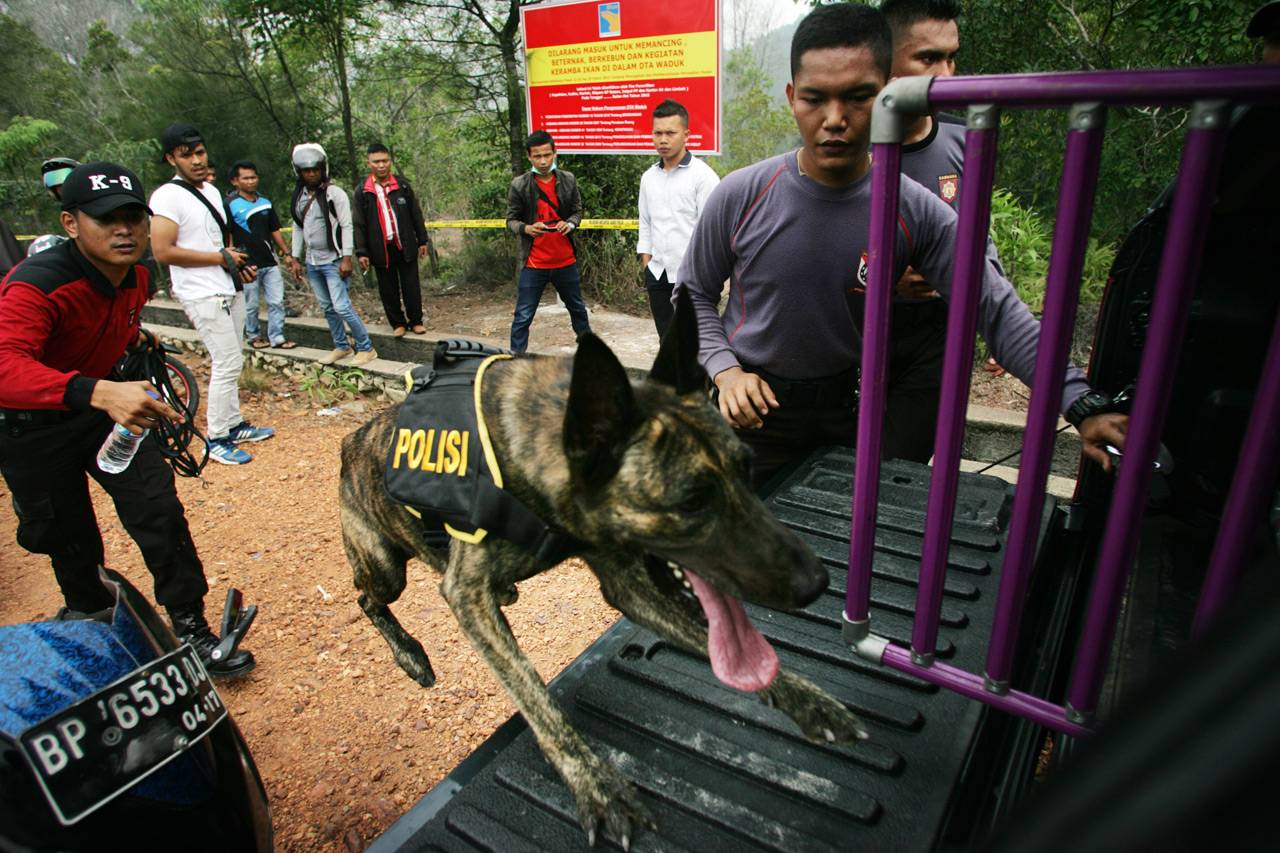 Anjing Pelacak Digunakan...