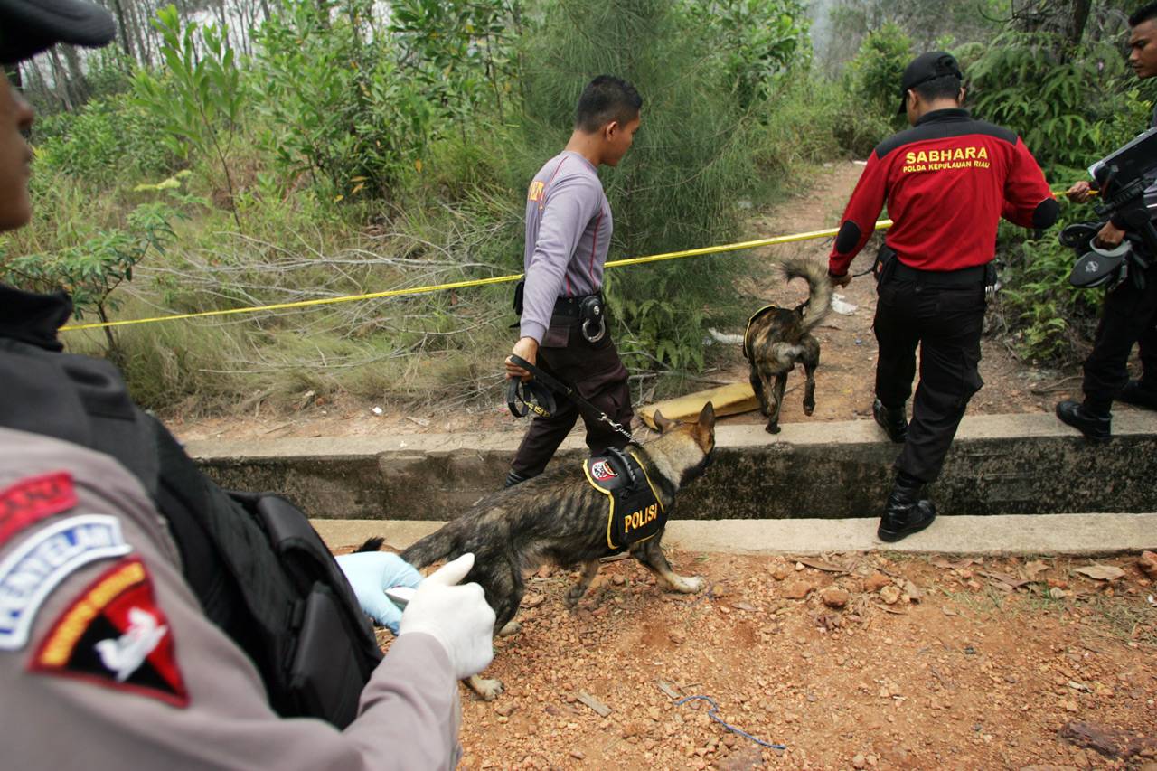 Anjing Pelacak Digunakan...