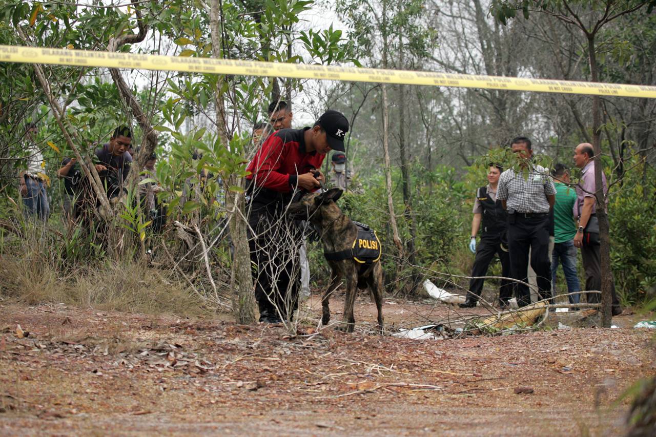 Anjing Pelacak Digunakan...