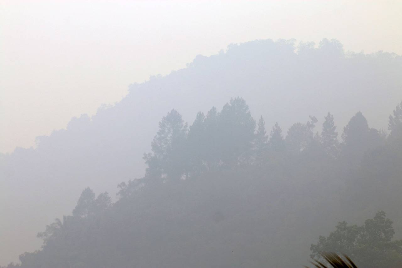 Kabut Asap Selimuti...