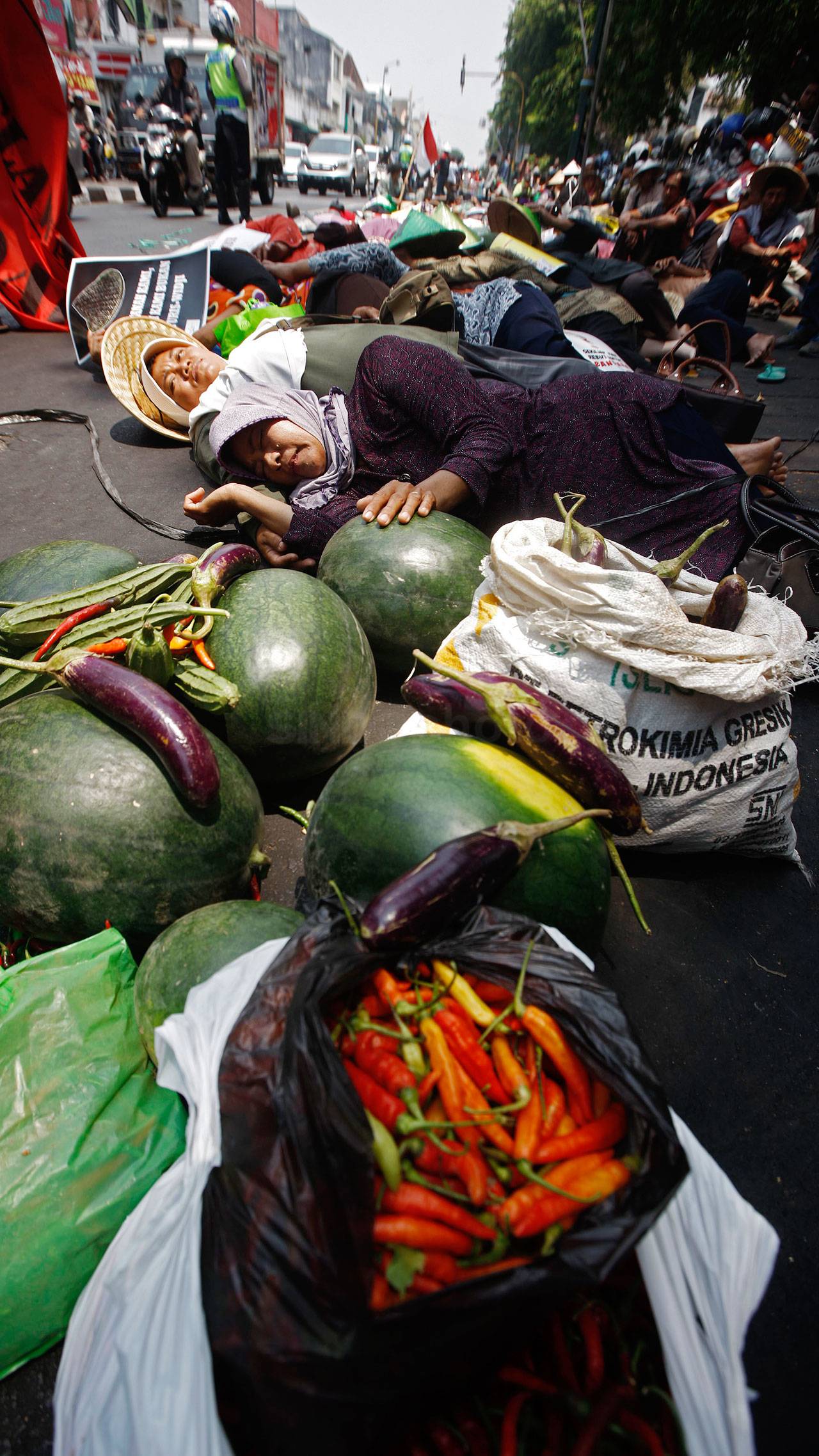 Petani Pesisir Tolak...
