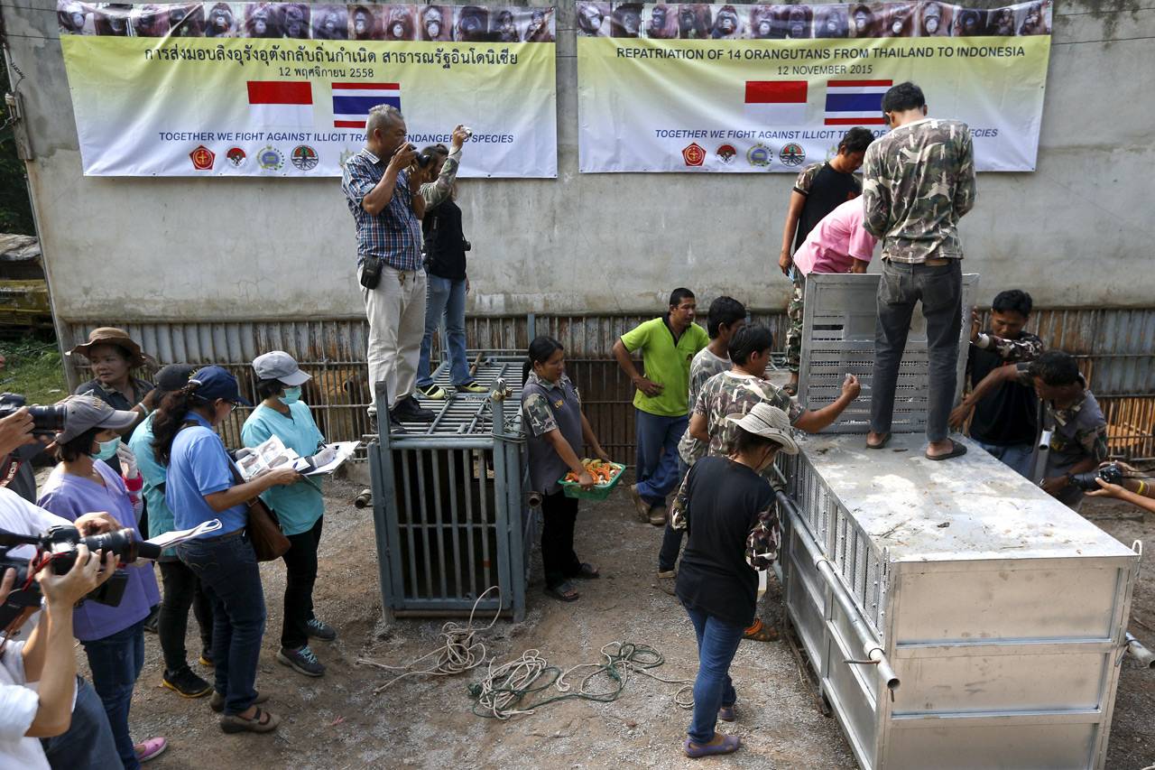 Thailand Pulangkan 14...