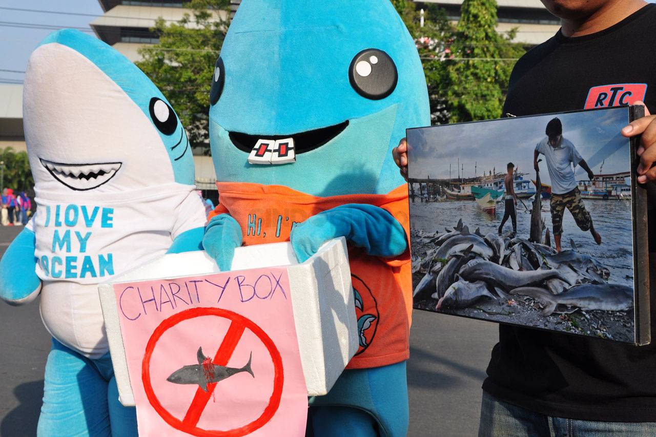 #SaveShark, Aktivis...
