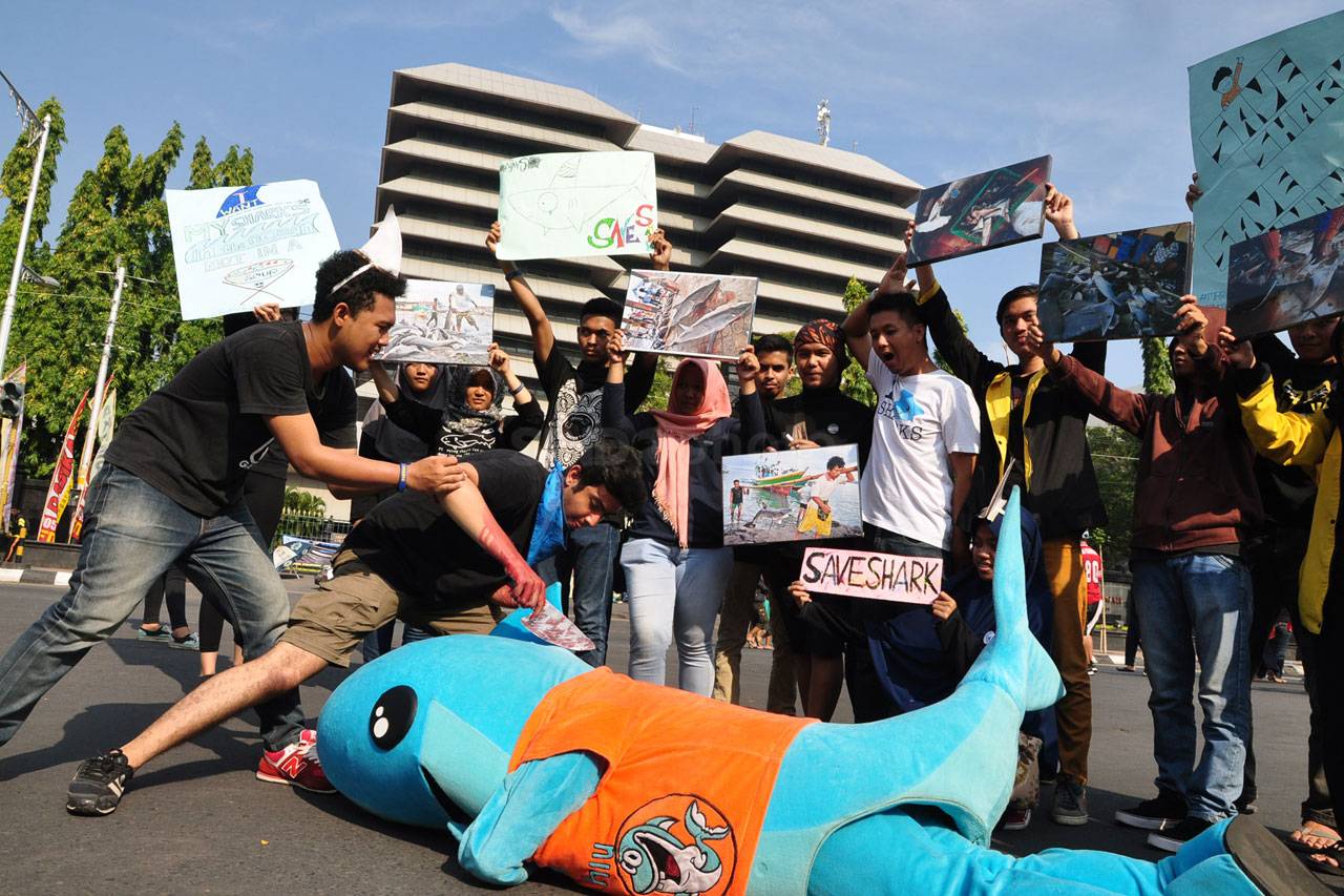 #SaveShark, Aktivis...