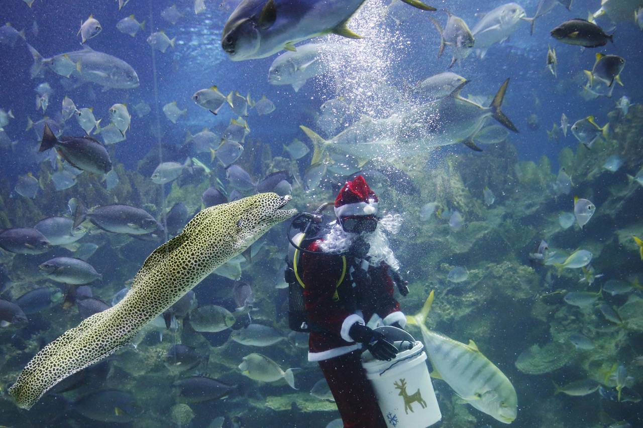 Sambut Natal, Santa...