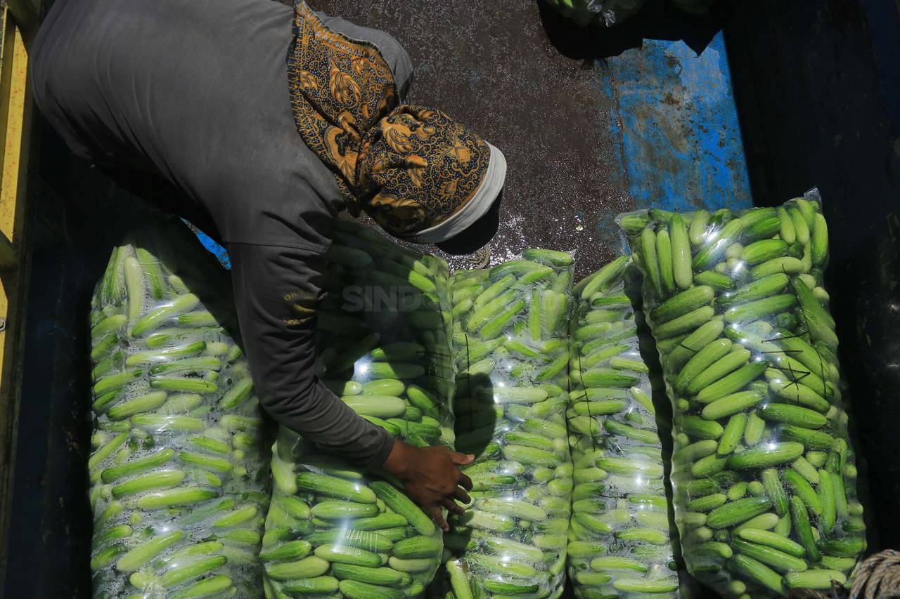 Petani di Kabupaten...