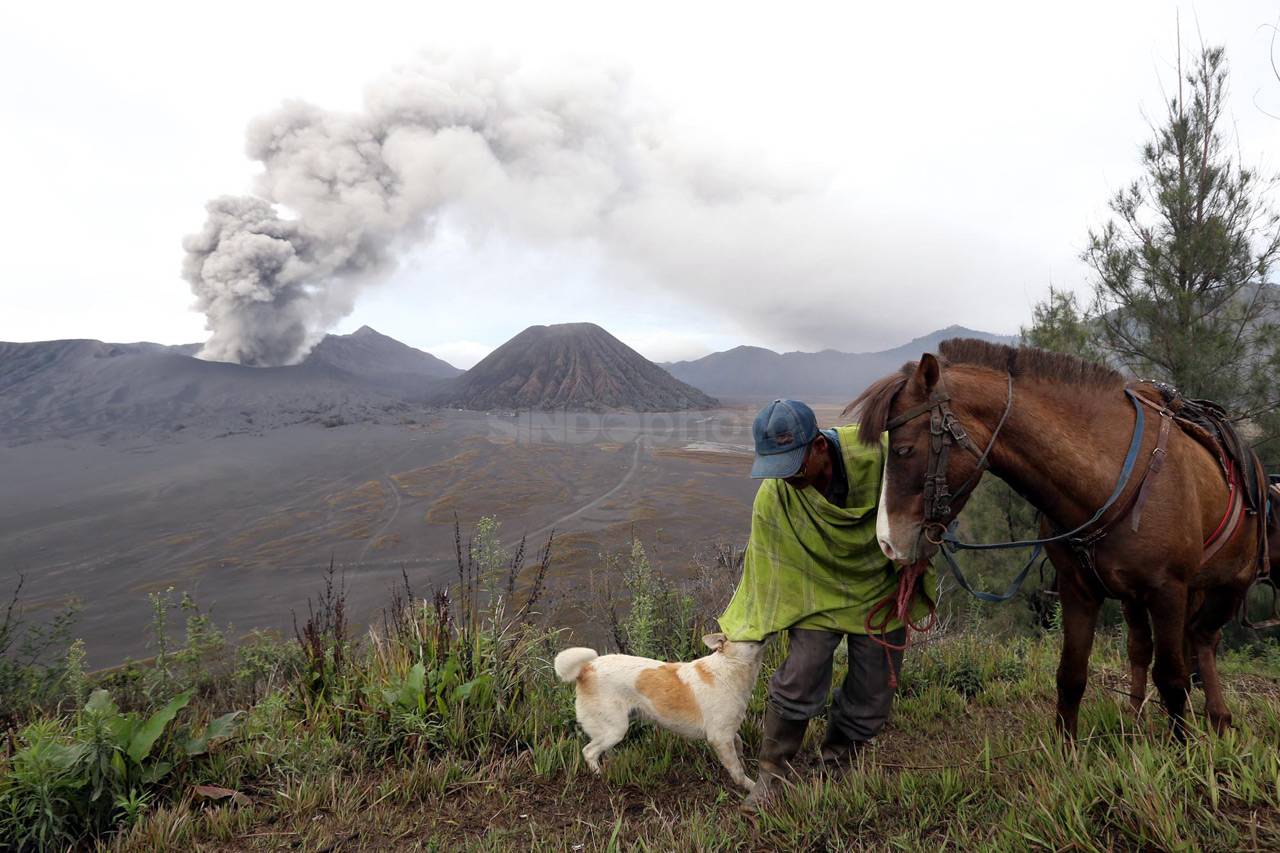 Aktivitas Bromo Masih...
