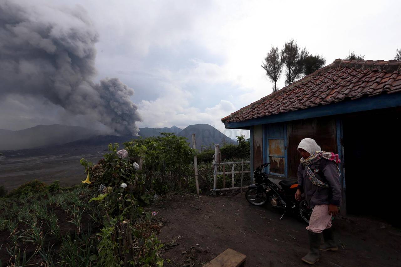Erupsi Gunung Bromo,...