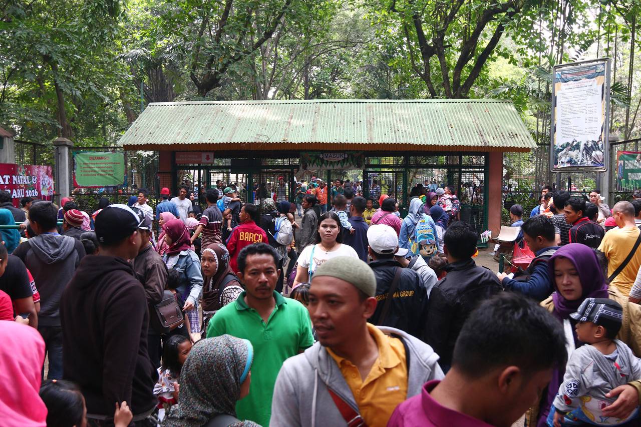 Puluhan Ribu Warga Padati...