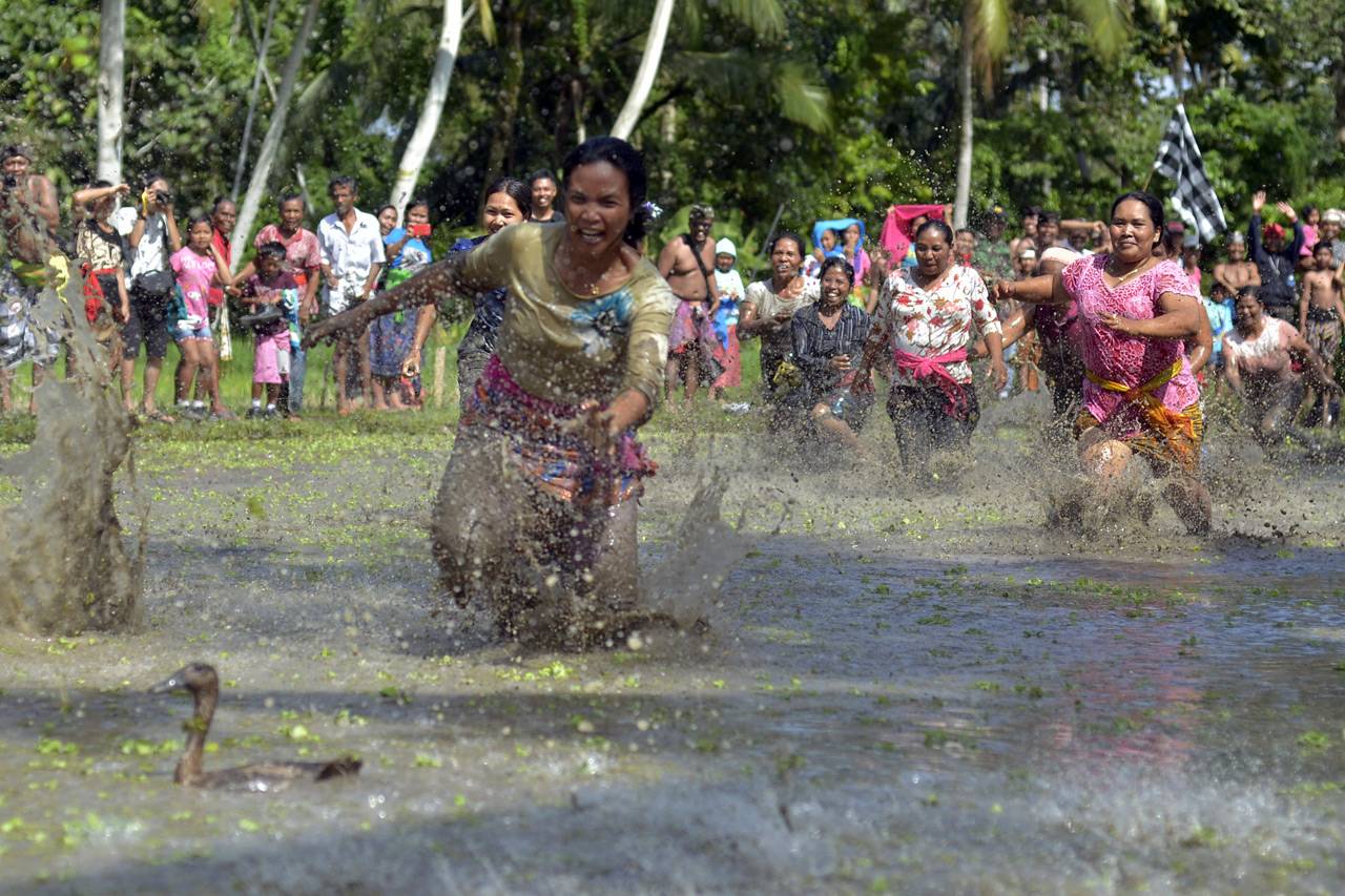 Lomba Menangkap Bebek...