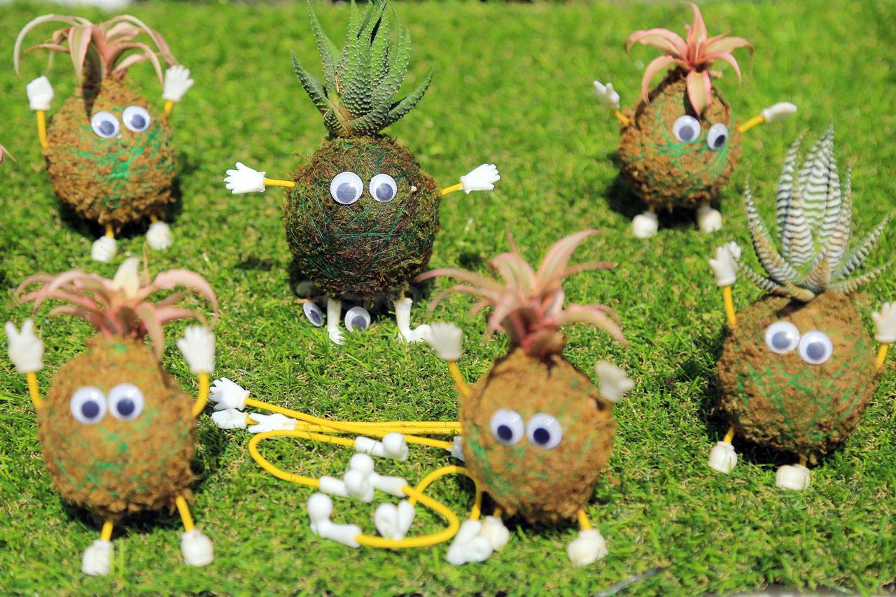 Kokedama, Seni Merangkai...
