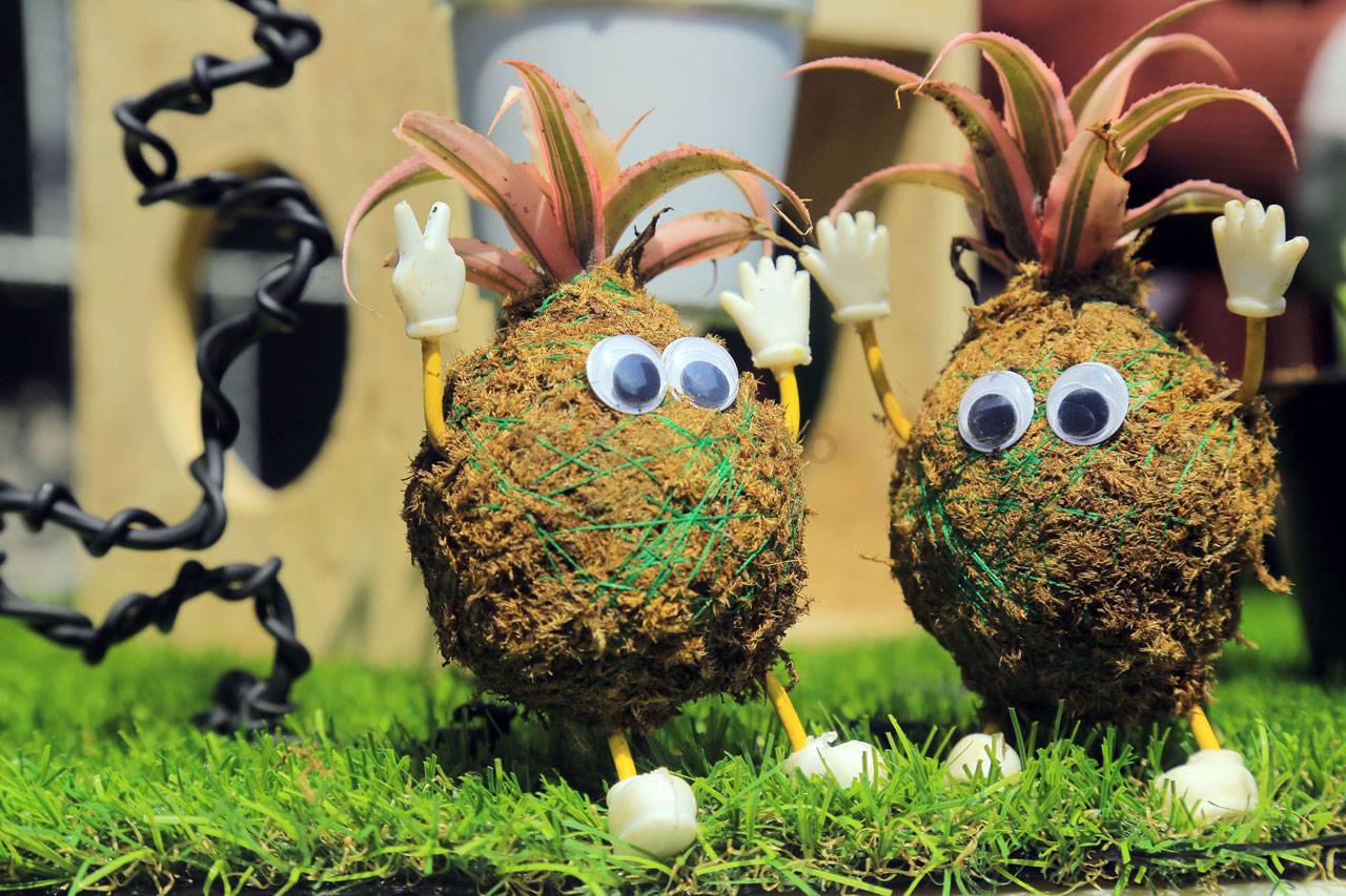 Kokedama, Seni Merangkai...
